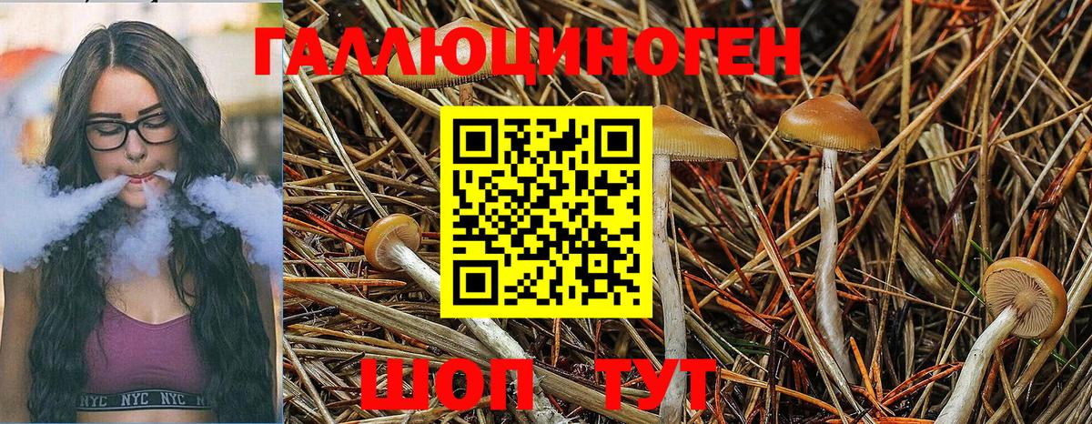 Псилоцибиновые грибы Cubensis Коломна
